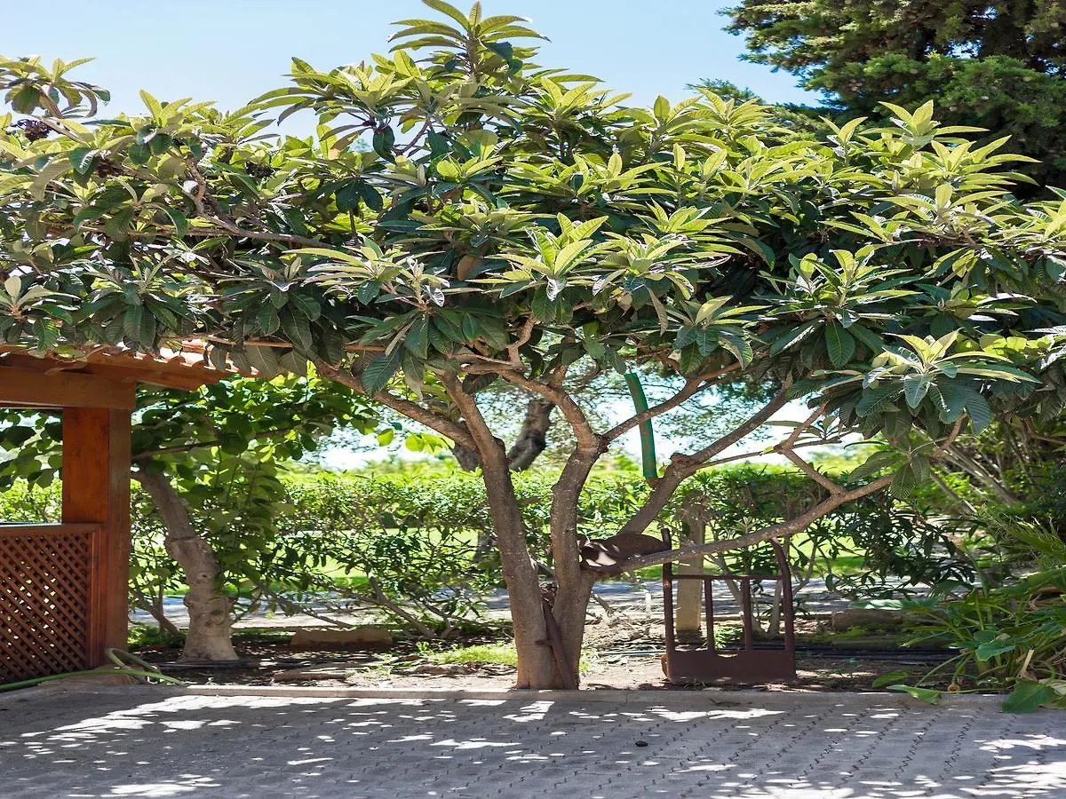 Apartamentos Flor Da Laranja, Albufeira By Algarveblossom Πορτογαλία